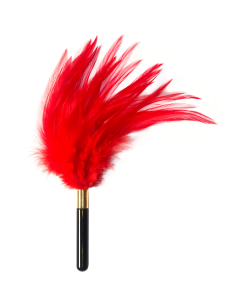 Тиклер Burlesque Plume Red 1082-01lola