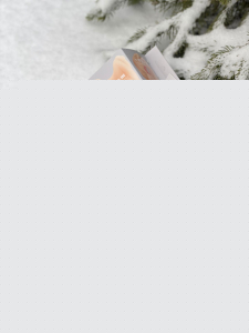 Jingle Bells Jingle Bells
