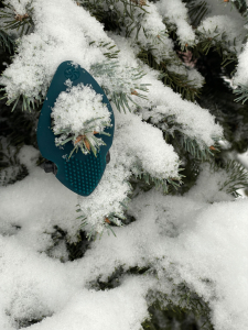 Jingle Bells Jingle Bells