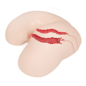 Мастурбатор Maria Onahole полуторс двойной слой TPE KOKOS M01-003-12DH