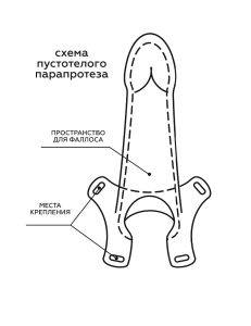Фаллопротез пустотелый 750200ru