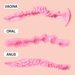 Мастурбатор Valentina полуторс вагина и анус с вибрацией KOKOS M01-003-08DV