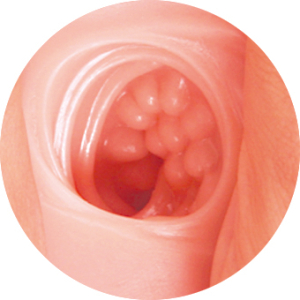 Мастурбатор Dream 18 с вибрацией телесный TPR KOKOS M03-001-05V