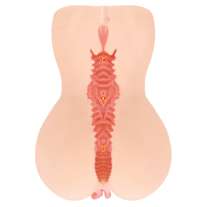 Мастурбатор Adel Onahole Edition 001 телесный TPE с вибрацией KOKOS M01-003-10DEV